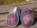 Polished One Side Red Shashe River Agate Nodules x 24 From Shashe River, Zimbabwe - Toprock Gemstones and Minerals 