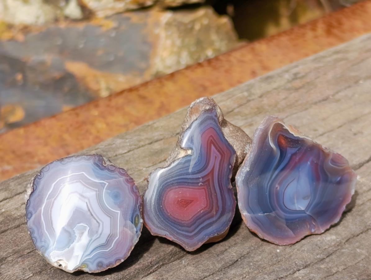 Polished One Side Red Shashe River Agate Nodules x 24 From Shashe River, Zimbabwe - Toprock Gemstones and Minerals 
