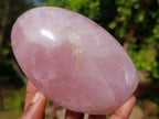 Polished Gemmy Rose Quartz Standing Display Pieces x 2 From Madagascar - Toprock Gemstones and Minerals 