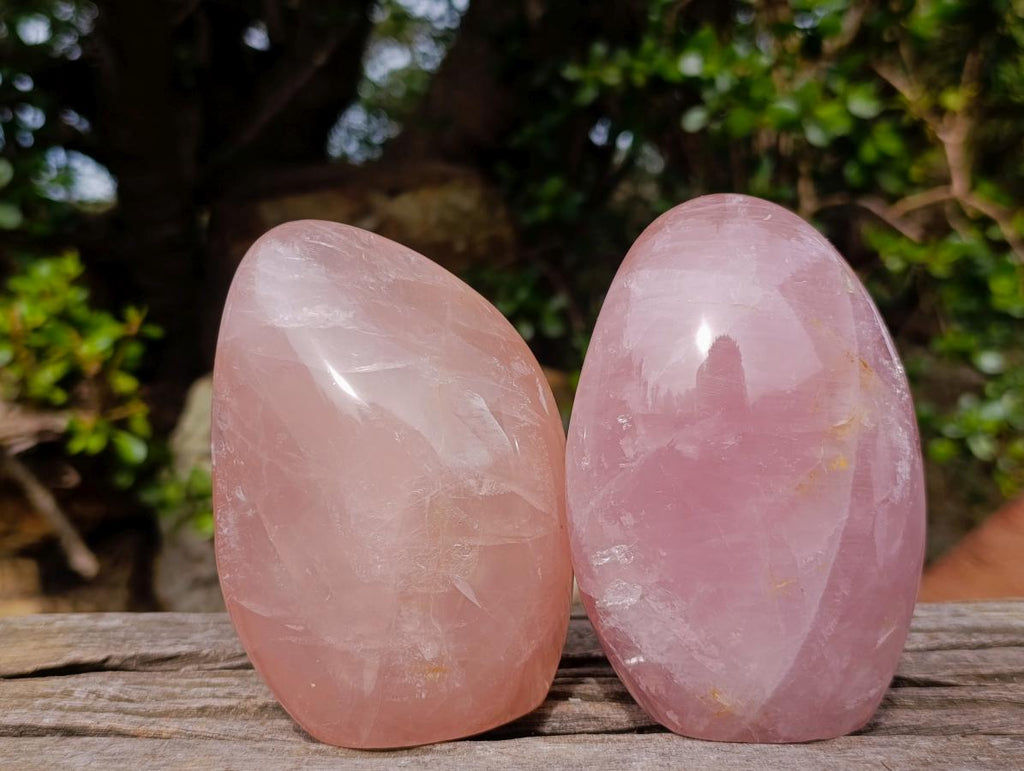 Polished Gemmy Rose Quartz Standing Display Pieces x 2 From Madagascar - Toprock Gemstones and Minerals 