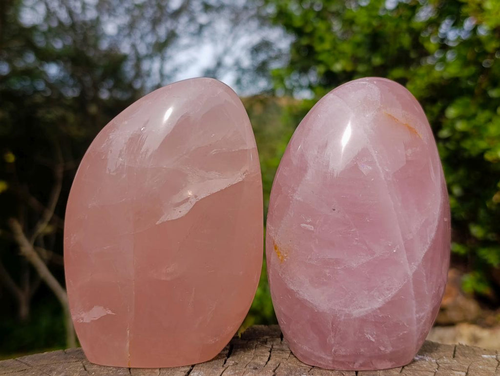 Polished Gemmy Rose Quartz Standing Display Pieces x 2 From Madagascar - Toprock Gemstones and Minerals 
