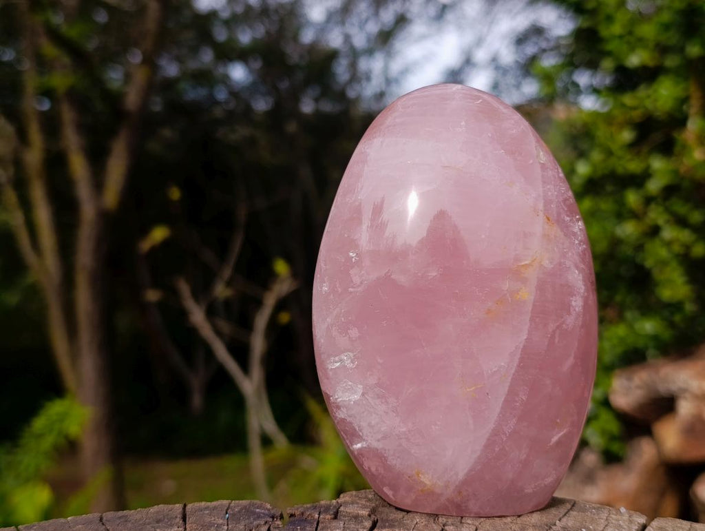 Polished Gemmy Rose Quartz Standing Display Pieces x 2 From Madagascar - Toprock Gemstones and Minerals 