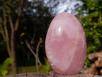 Polished Gemmy Rose Quartz Standing Display Pieces x 2 From Madagascar - Toprock Gemstones and Minerals 