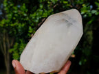 Half Polished Half Natural White Phantom Quartz Crystals x 3 From Madagascar - Toprock Gemstones and Minerals 