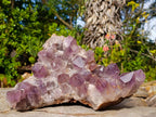 Natural Large Jacaranda Amethyst Cluster x 1 From Mumbwa, Zambia - Toprock Gemstones and Minerals 
