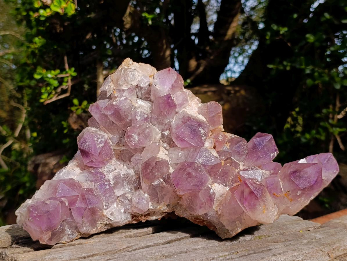 Natural Large Jacaranda Amethyst Cluster x 1 From Mumbwa, Zambia - Toprock Gemstones and Minerals 