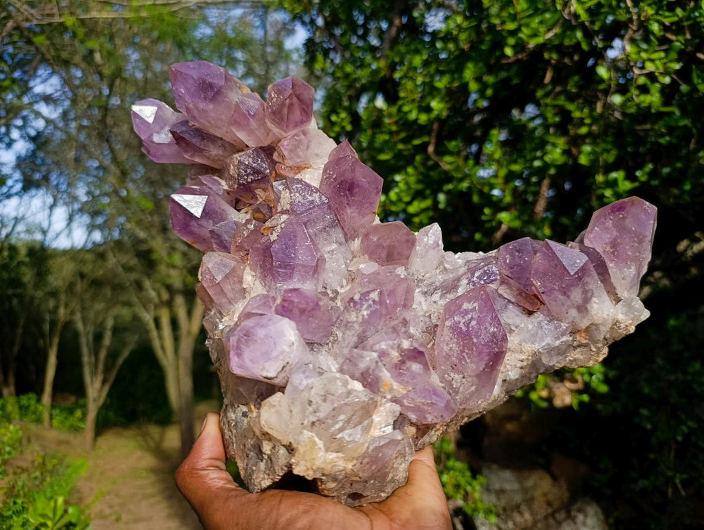 Natural Large Jacaranda Amethyst Cluster x 1 From Mumbwa, Zambia - Toprock Gemstones and Minerals 