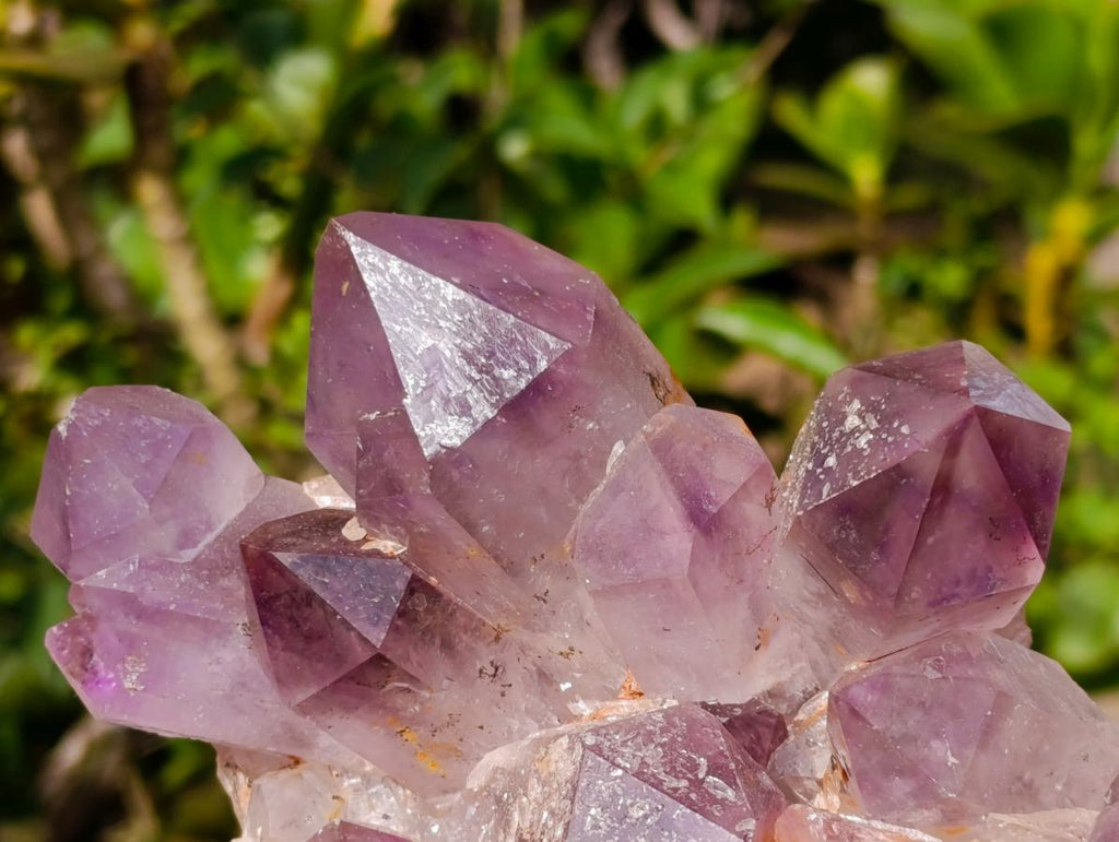 Natural Large Jacaranda Amethyst Cluster x 1 From Mumbwa, Zambia - Toprock Gemstones and Minerals 