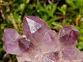 Natural Large Jacaranda Amethyst Cluster x 1 From Mumbwa, Zambia - Toprock Gemstones and Minerals 
