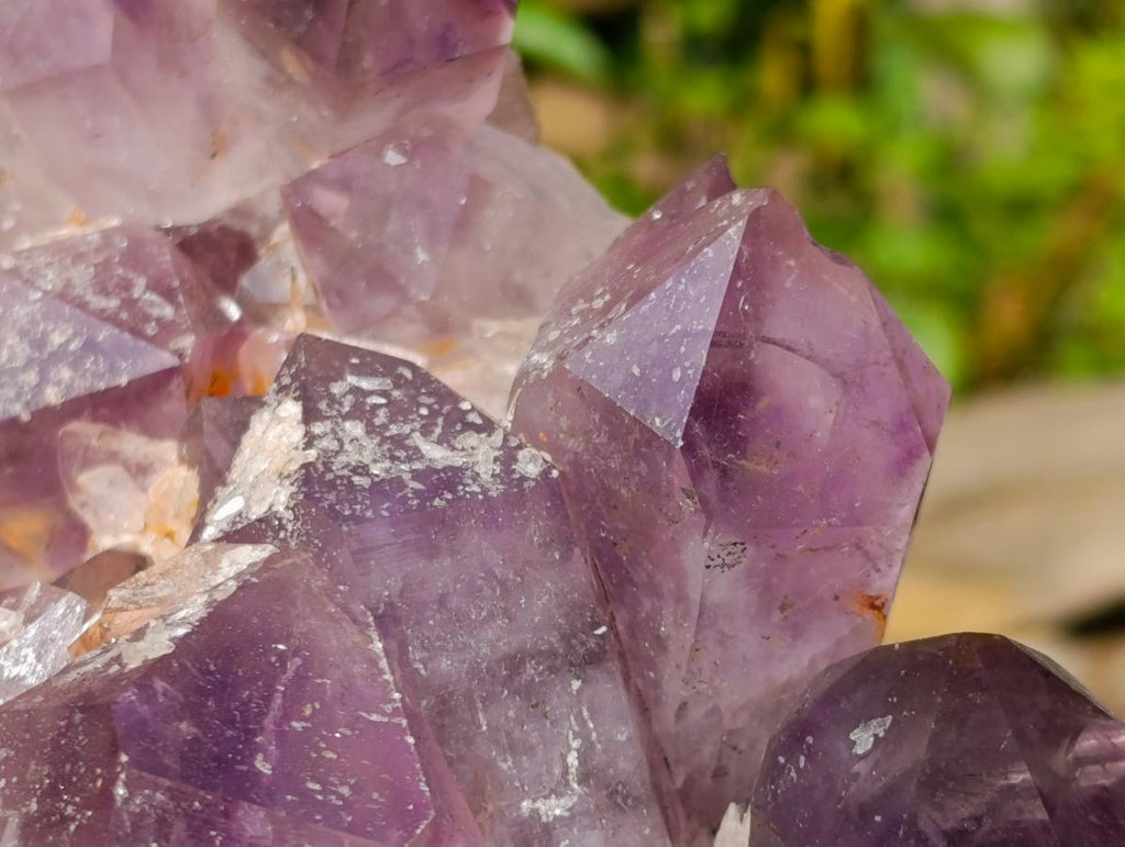 Natural Large Jacaranda Amethyst Cluster x 1 From Mumbwa, Zambia - Toprock Gemstones and Minerals 