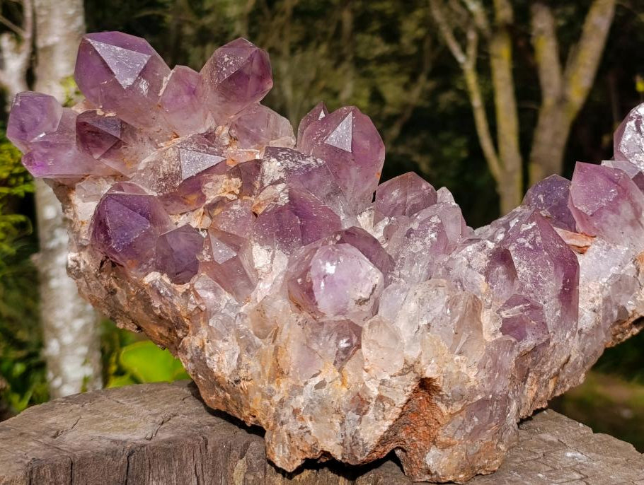 Natural Large Jacaranda Amethyst Cluster x 1 From Mumbwa, Zambia - Toprock Gemstones and Minerals 