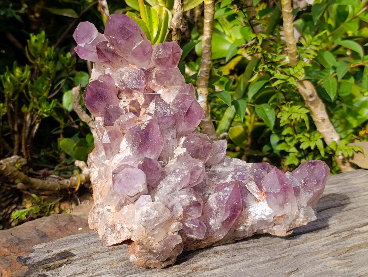 Natural Large Jacaranda Amethyst Cluster x 1 From Mumbwa, Zambia - Toprock Gemstones and Minerals 