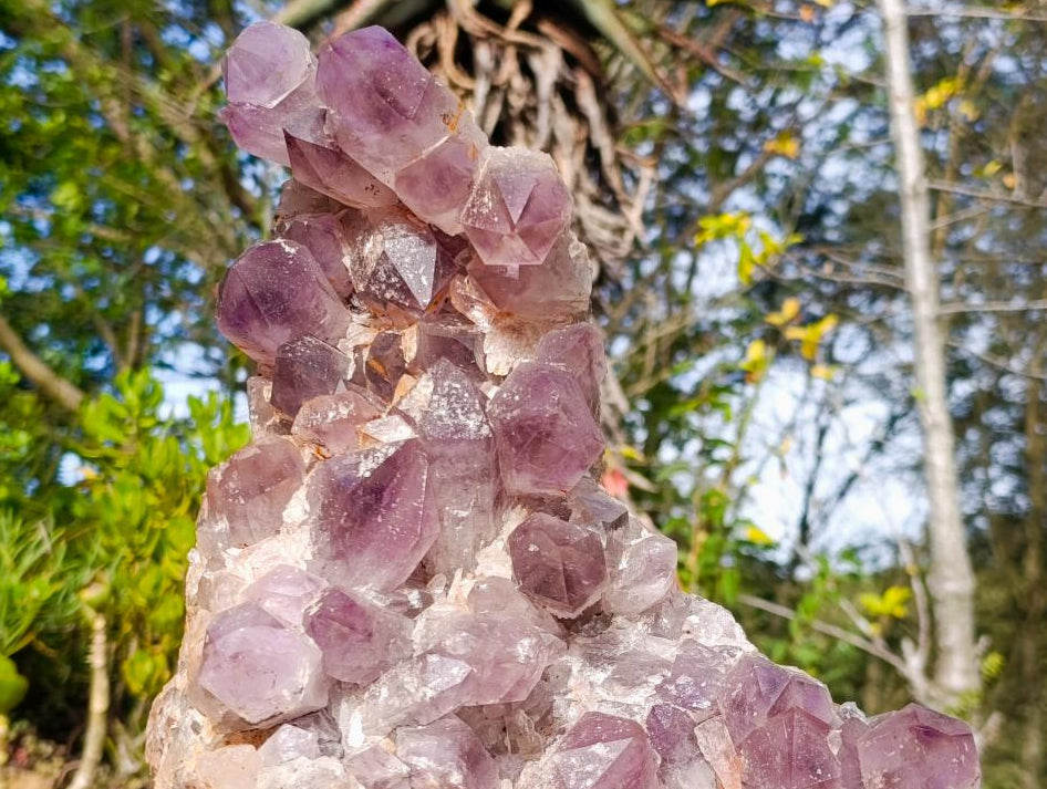Natural Large Jacaranda Amethyst Cluster x 1 From Mumbwa, Zambia - Toprock Gemstones and Minerals 