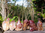Natural Red Hematoid Quartz Clusters x 6 From Karoi, Zimbabwe - Toprock Gemstones and Minerals 