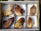 Natural Red Hematoid Quartz Clusters x 6 From Karoi, Zimbabwe - Toprock Gemstones and Minerals 