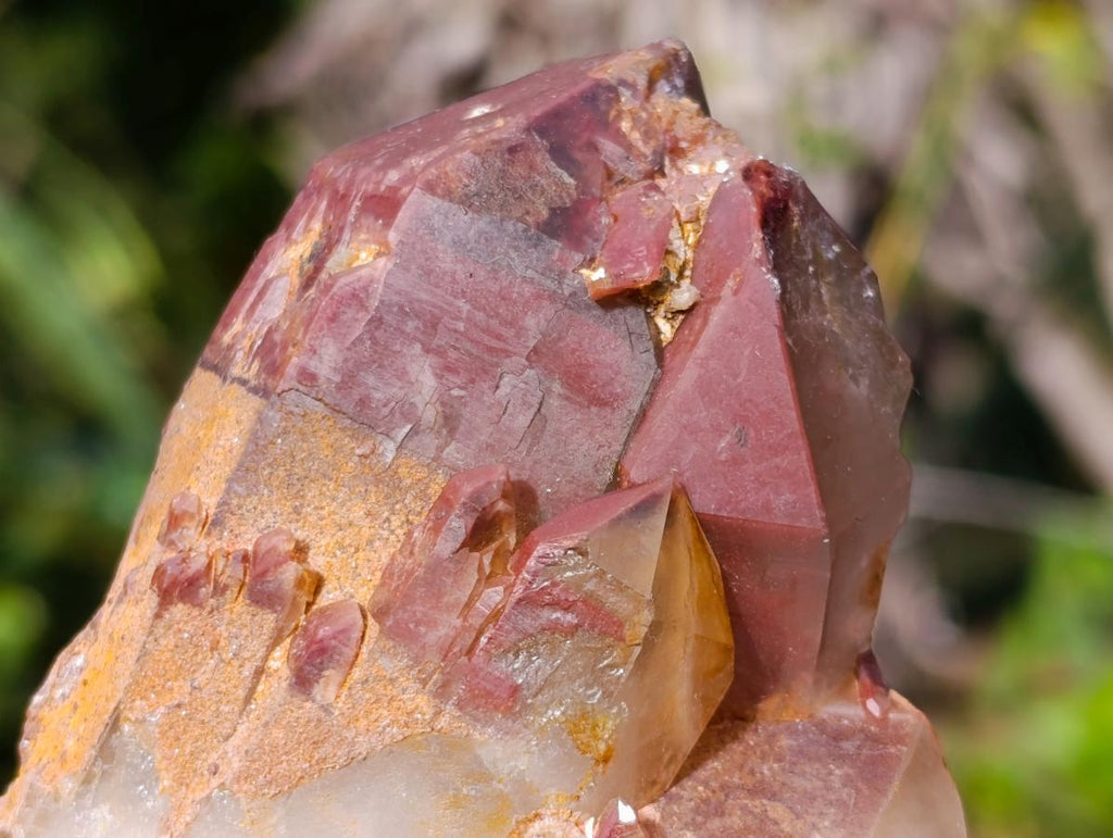 Natural Red Hematoid Quartz Clusters x 6 From Karoi, Zimbabwe - Toprock Gemstones and Minerals 