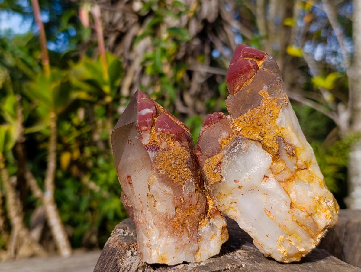 Natural Red Hematoid Quartz Clusters x 6 From Karoi, Zimbabwe - Toprock Gemstones and Minerals 