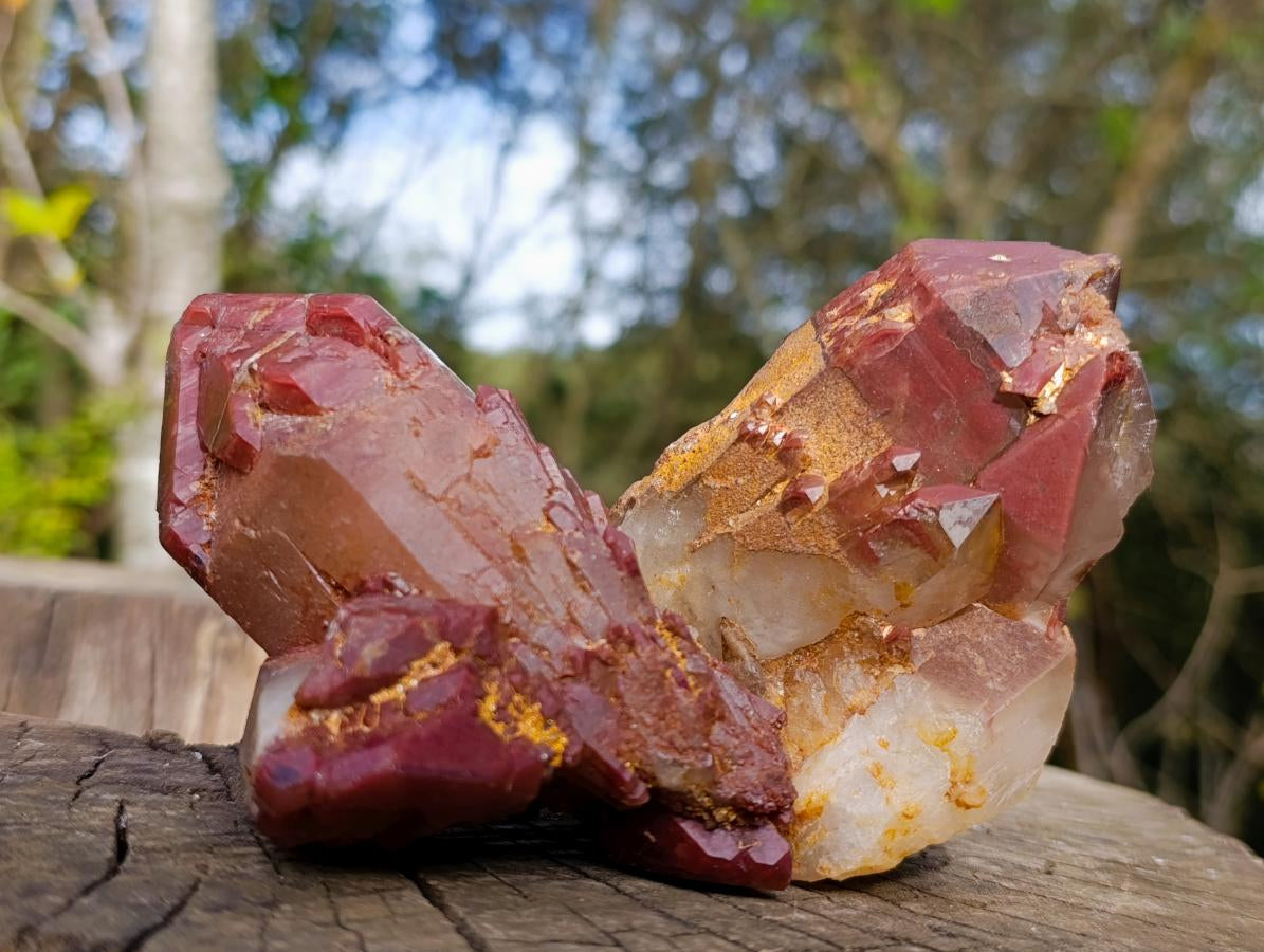 Natural Red Hematoid Quartz Clusters x 6 From Karoi, Zimbabwe - Toprock Gemstones and Minerals 