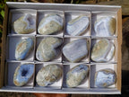 Polished Palm Size Blue Lace Agate Free Forms x 12 From Nsanje, Malawi - Toprock Gemstones and Minerals 