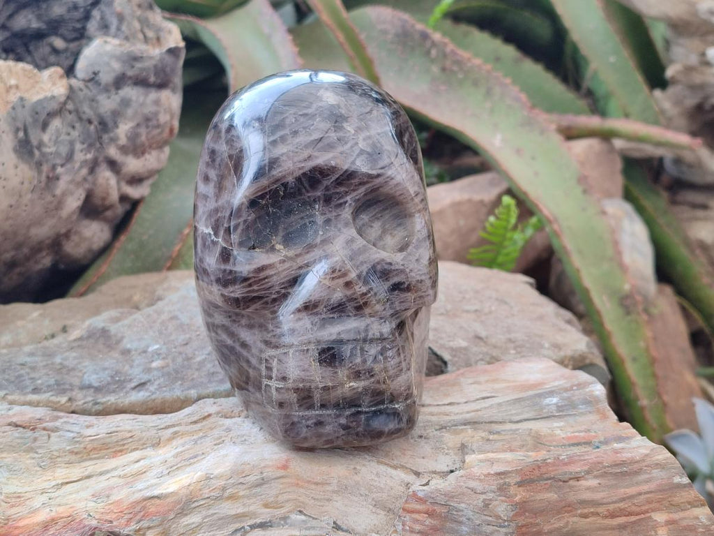 Hand Made Large Smokey Window Quartz Skull Carving x 1 From Madagascar - Toprock Gemstones and Minerals 
