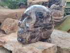 Hand Made Large Smokey Window Quartz Skull Carving x 1 From Madagascar - Toprock Gemstones and Minerals 