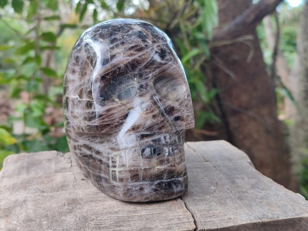 Hand Made Large Smokey Window Quartz Skull Carving x 1 From Madagascar - Toprock Gemstones and Minerals 