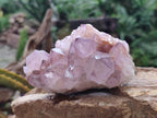 Natural Spirit Amethyst Clusters x 4 From Boekenhouthoek, South Africa - Toprock Gemstones and Minerals 