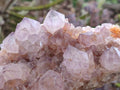Natural Spirit Amethyst Clusters x 4 From Boekenhouthoek, South Africa - Toprock Gemstones and Minerals 
