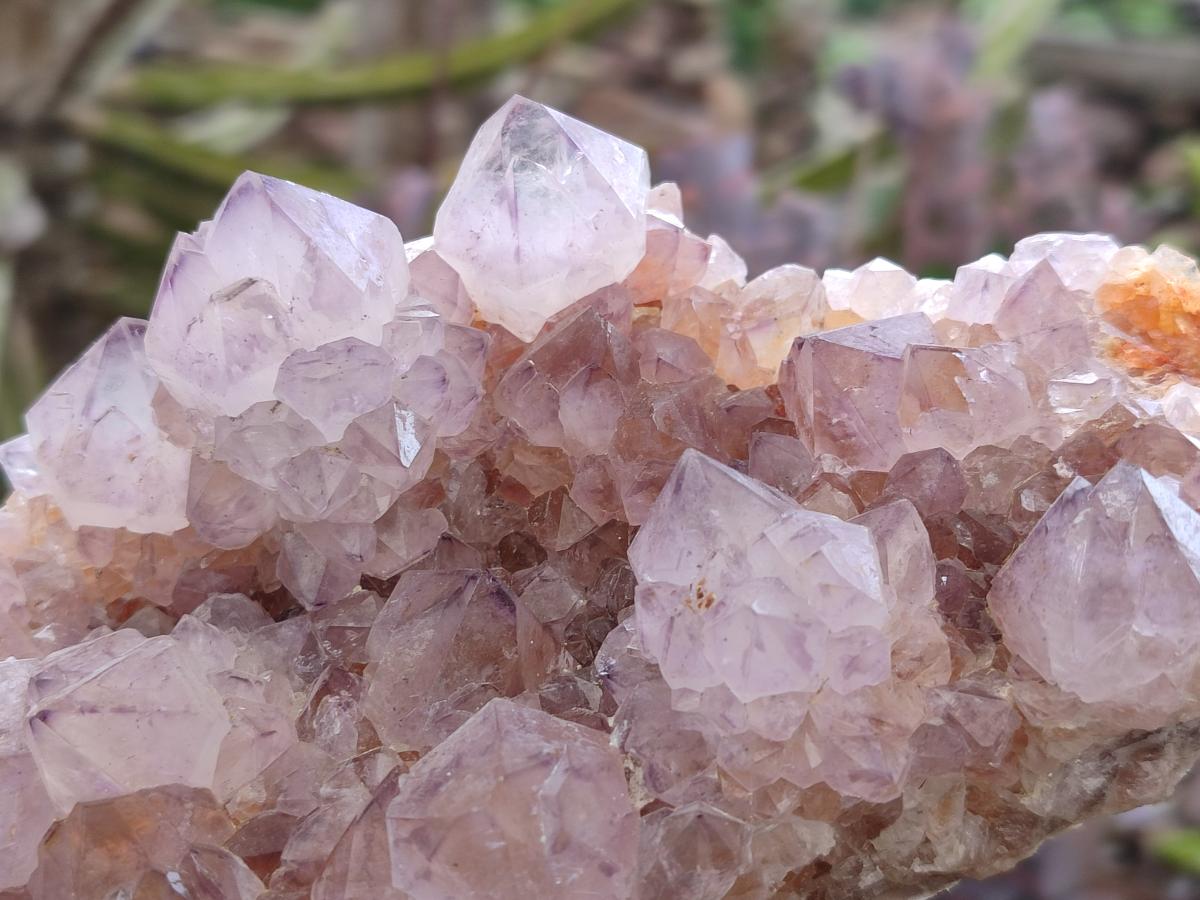 Natural Spirit Amethyst Clusters x 4 From Boekenhouthoek, South Africa - Toprock Gemstones and Minerals 