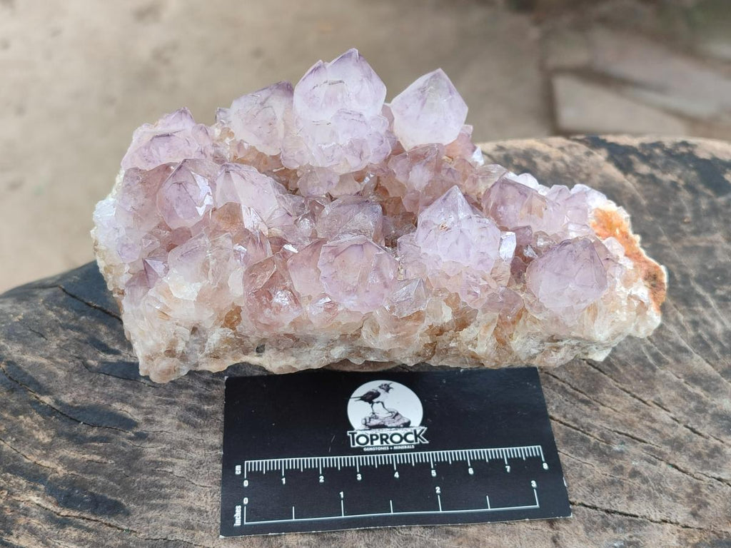 Natural Spirit Amethyst Clusters x 4 From Boekenhouthoek, South Africa - Toprock Gemstones and Minerals 