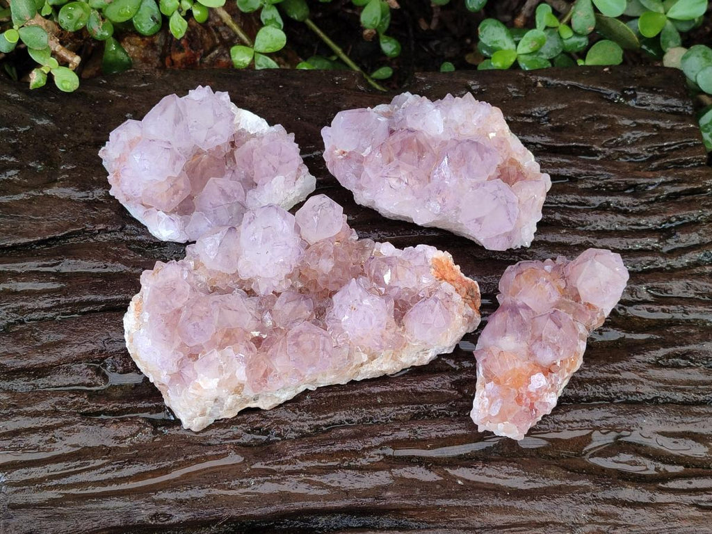 Natural Spirit Amethyst Clusters x 4 From Boekenhouthoek, South Africa - Toprock Gemstones and Minerals 