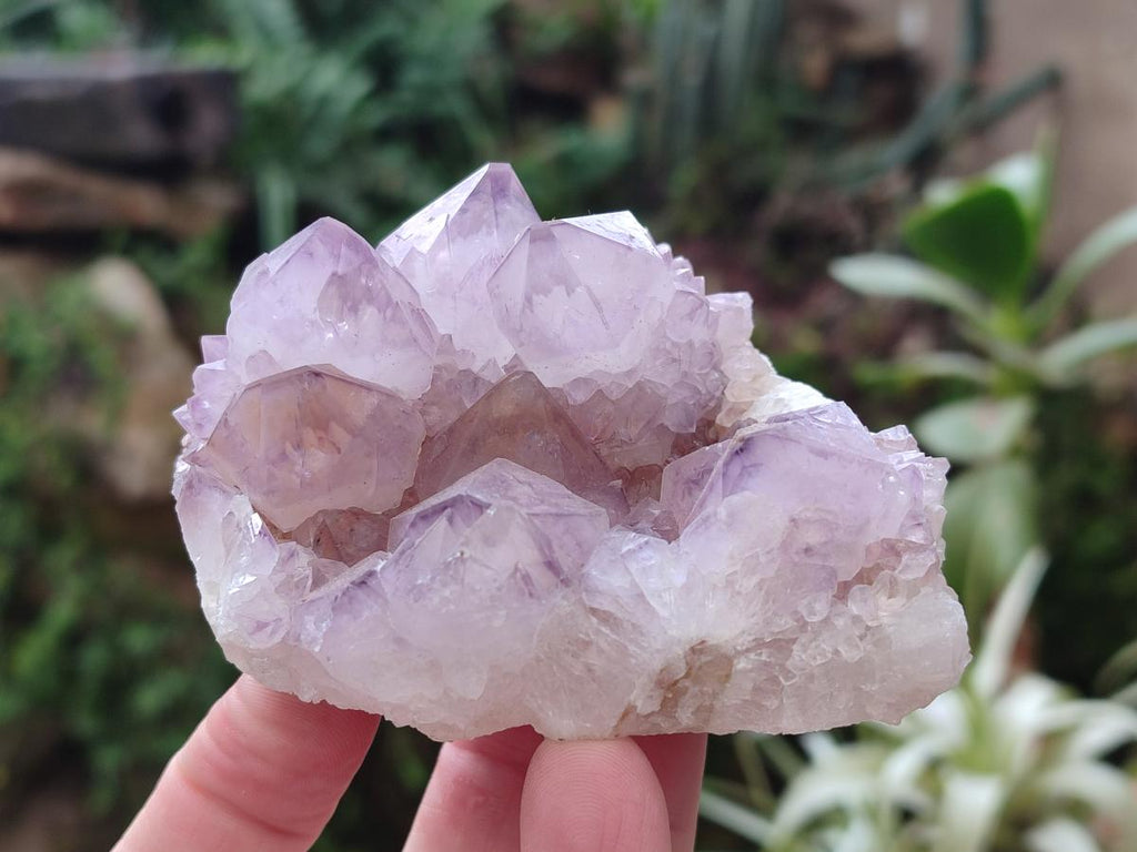 Natural Spirit Amethyst Clusters x 4 From Boekenhouthoek, South Africa - Toprock Gemstones and Minerals 