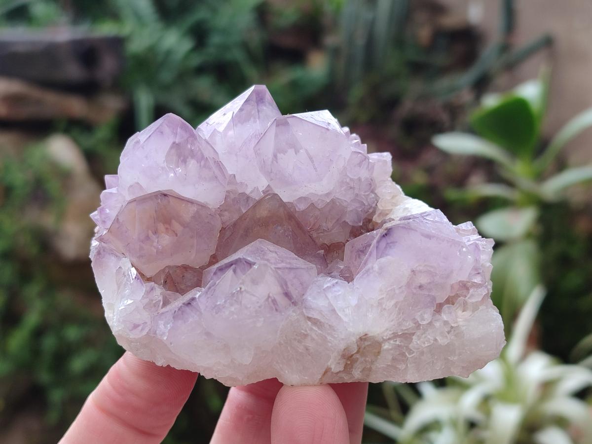 Natural Spirit Amethyst Clusters x 4 From Boekenhouthoek, South Africa - Toprock Gemstones and Minerals 