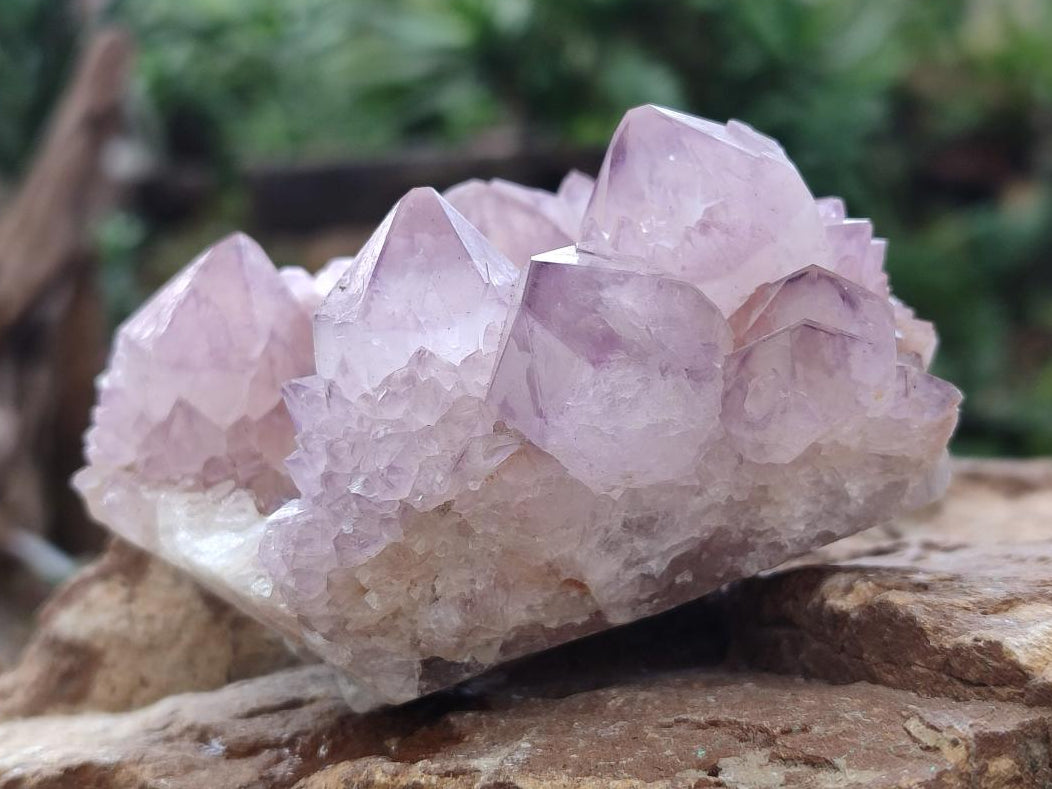 Natural Spirit Amethyst Clusters x 4 From Boekenhouthoek, South Africa - Toprock Gemstones and Minerals 