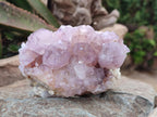 Natural Spirit Amethyst Clusters x 4 From Boekenhouthoek, South Africa - Toprock Gemstones and Minerals 