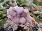 Natural Spirit Amethyst Clusters x 4 From Boekenhouthoek, South Africa - Toprock Gemstones and Minerals 