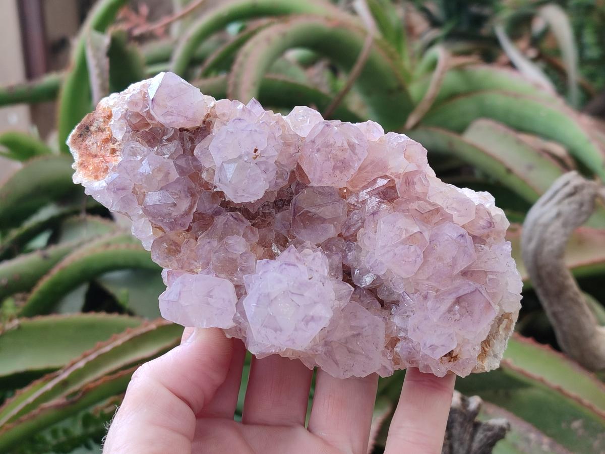 Natural Spirit Amethyst Clusters x 4 From Boekenhouthoek, South Africa - Toprock Gemstones and Minerals 