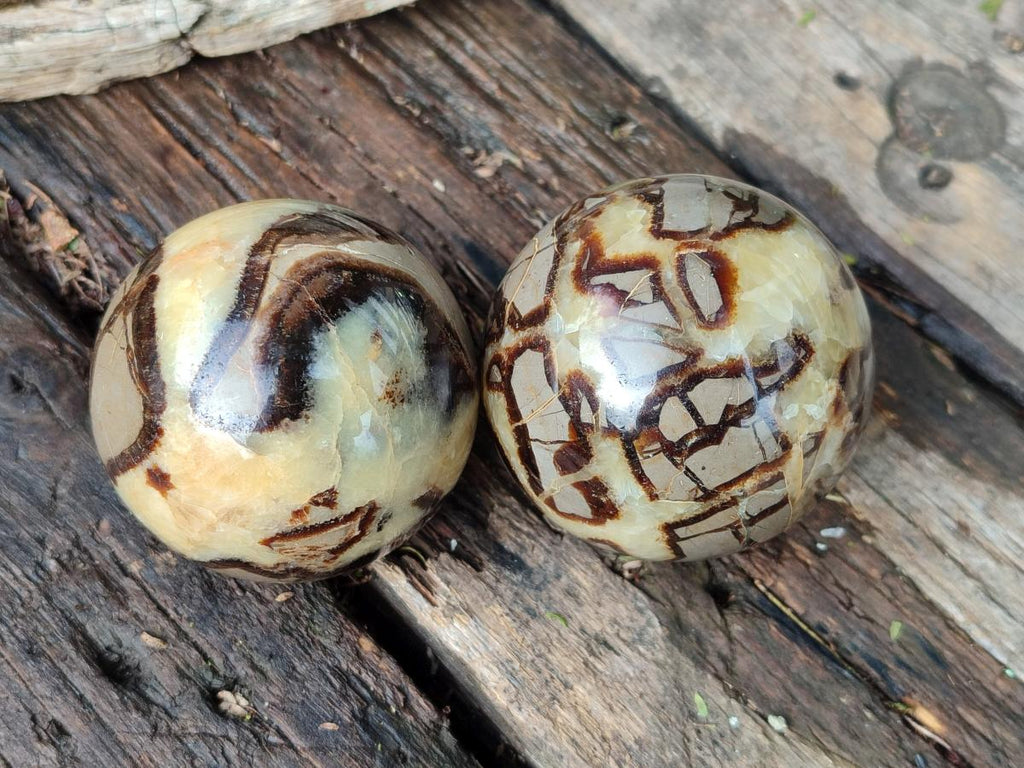Polished Septerye Spheres x 5 From Mahajanga, Madagascar - Toprock Gemstones and Minerals 