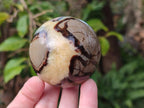 Polished Septerye Spheres x 5 From Mahajanga, Madagascar - Toprock Gemstones and Minerals 