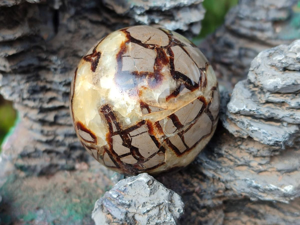 Polished Septerye Spheres x 5 From Mahajanga, Madagascar - Toprock Gemstones and Minerals 