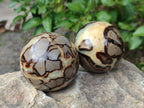 Polished Septerye Spheres x 5 From Mahajanga, Madagascar - Toprock Gemstones and Minerals 