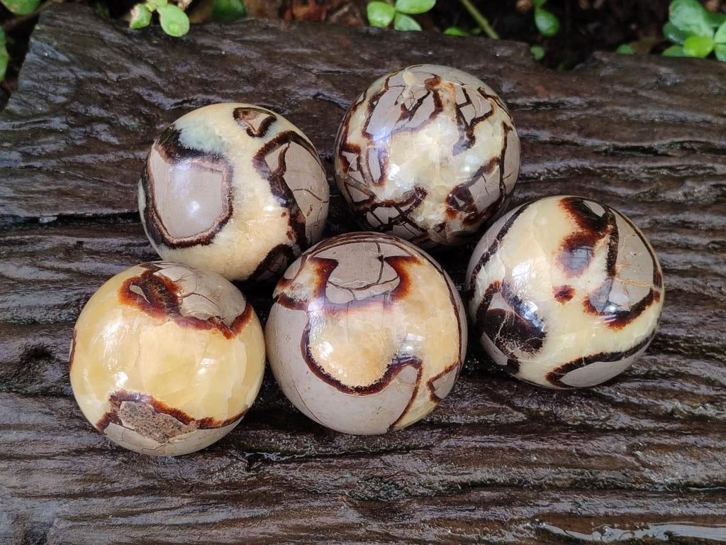 Polished Septerye Spheres x 5 From Mahajanga, Madagascar - Toprock Gemstones and Minerals 
