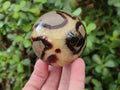 Polished Septerye Spheres x 5 From Mahajanga, Madagascar - Toprock Gemstones and Minerals 