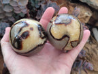Polished Septerye Spheres x 5 From Mahajanga, Madagascar - Toprock Gemstones and Minerals 