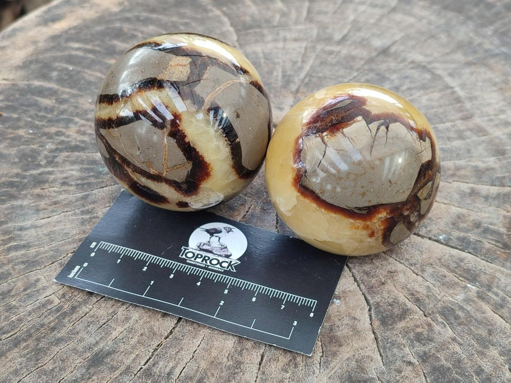 Polished Septerye Spheres x 5 From Mahajanga, Madagascar - Toprock Gemstones and Minerals 