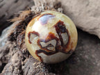 Polished Septerye Spheres x 5 From Mahajanga, Madagascar - Toprock Gemstones and Minerals 
