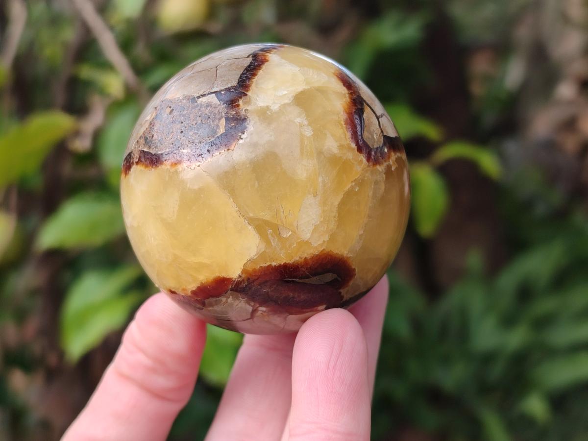 Polished Septerye Spheres x 5 From Mahajanga, Madagascar - Toprock Gemstones and Minerals 
