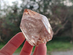 Polished Mixed Quartz Crystals x 6 From Madagascar - Toprock Gemstones and Minerals 