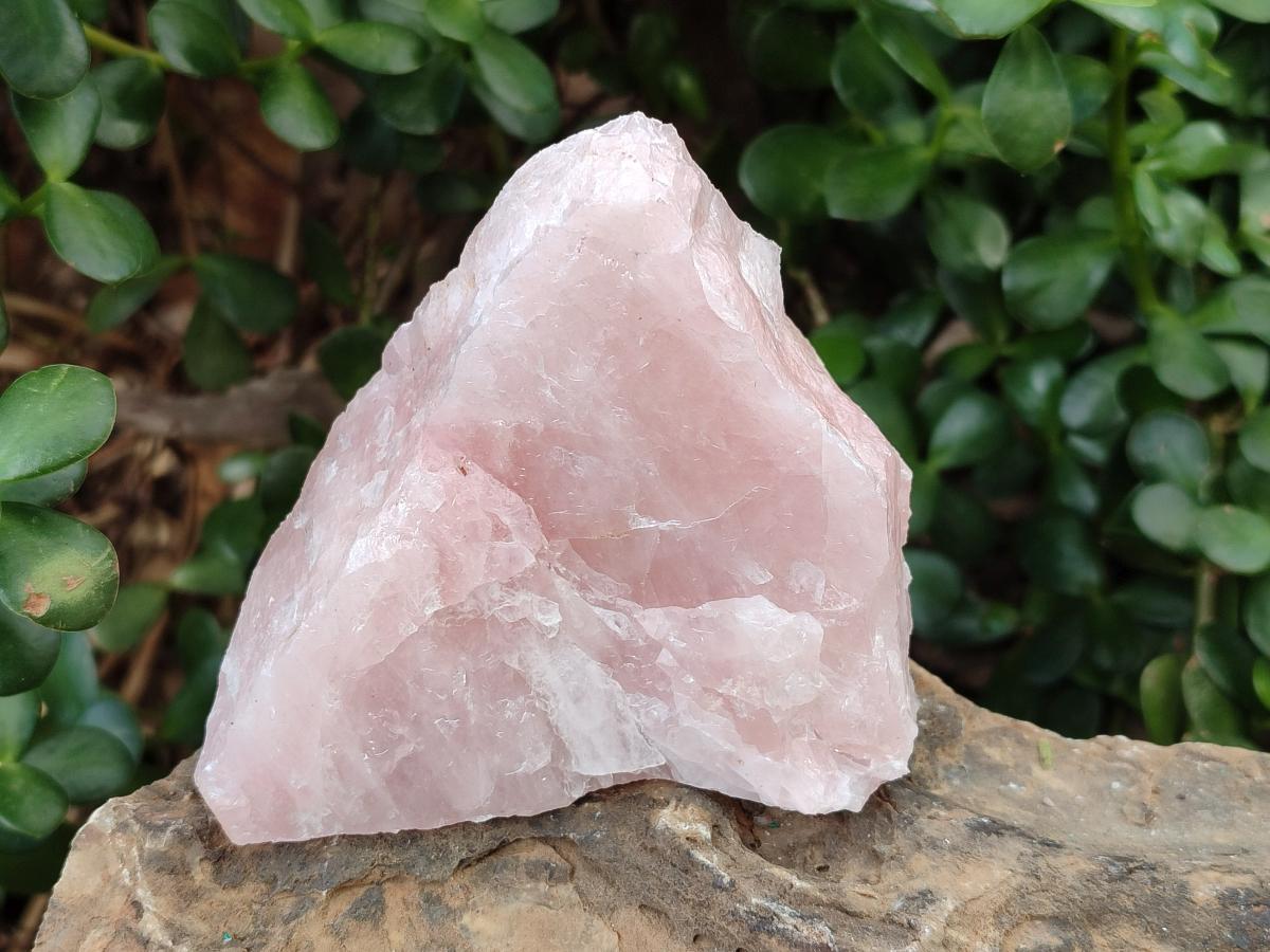 Natural Cobbed Rose Quartz Specimens x 27 From Northern Cape, South Africa - Toprock Gemstones and Minerals 