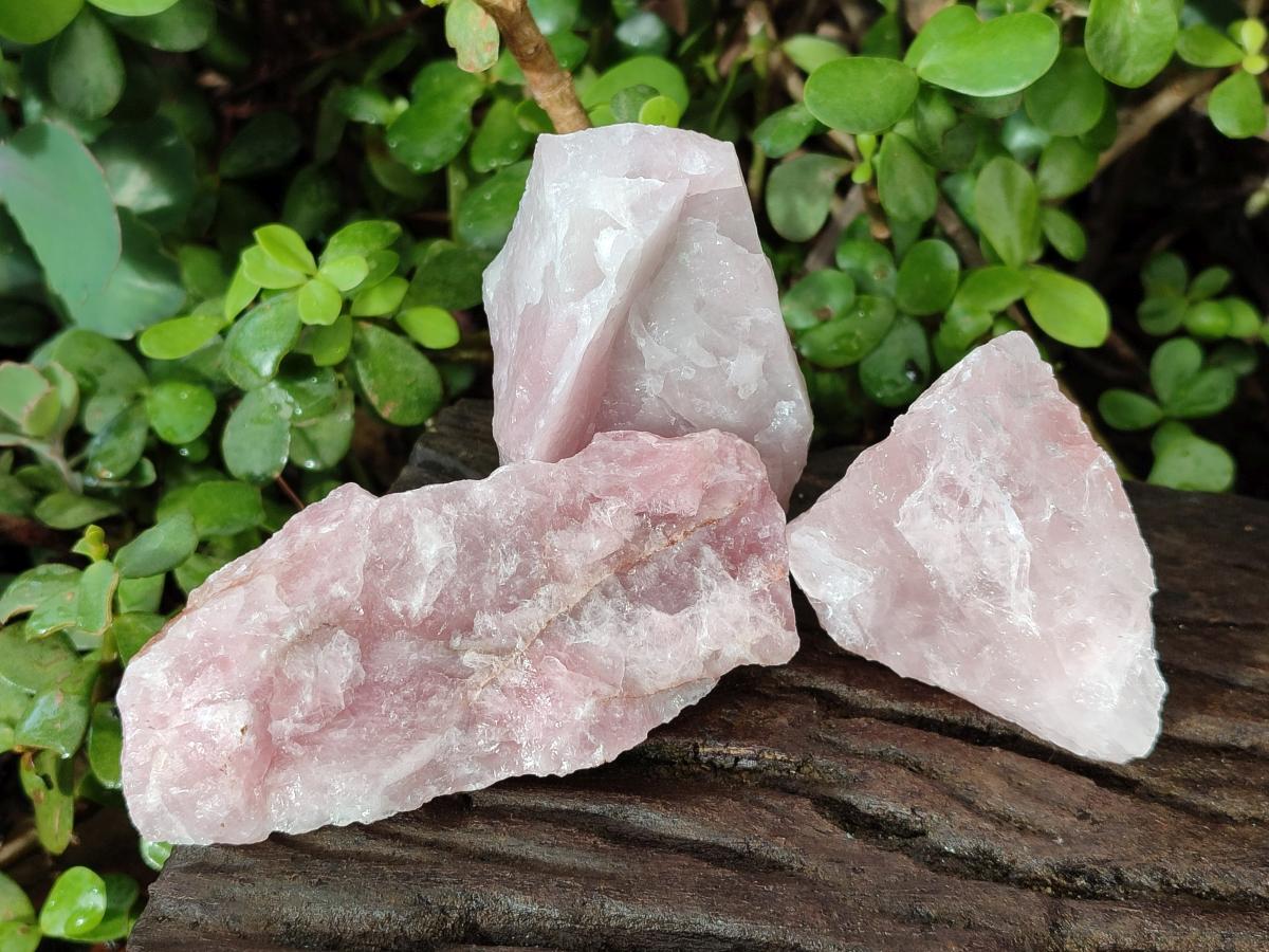 Natural Cobbed Rose Quartz Specimens x 27 From Northern Cape, South Africa - Toprock Gemstones and Minerals 